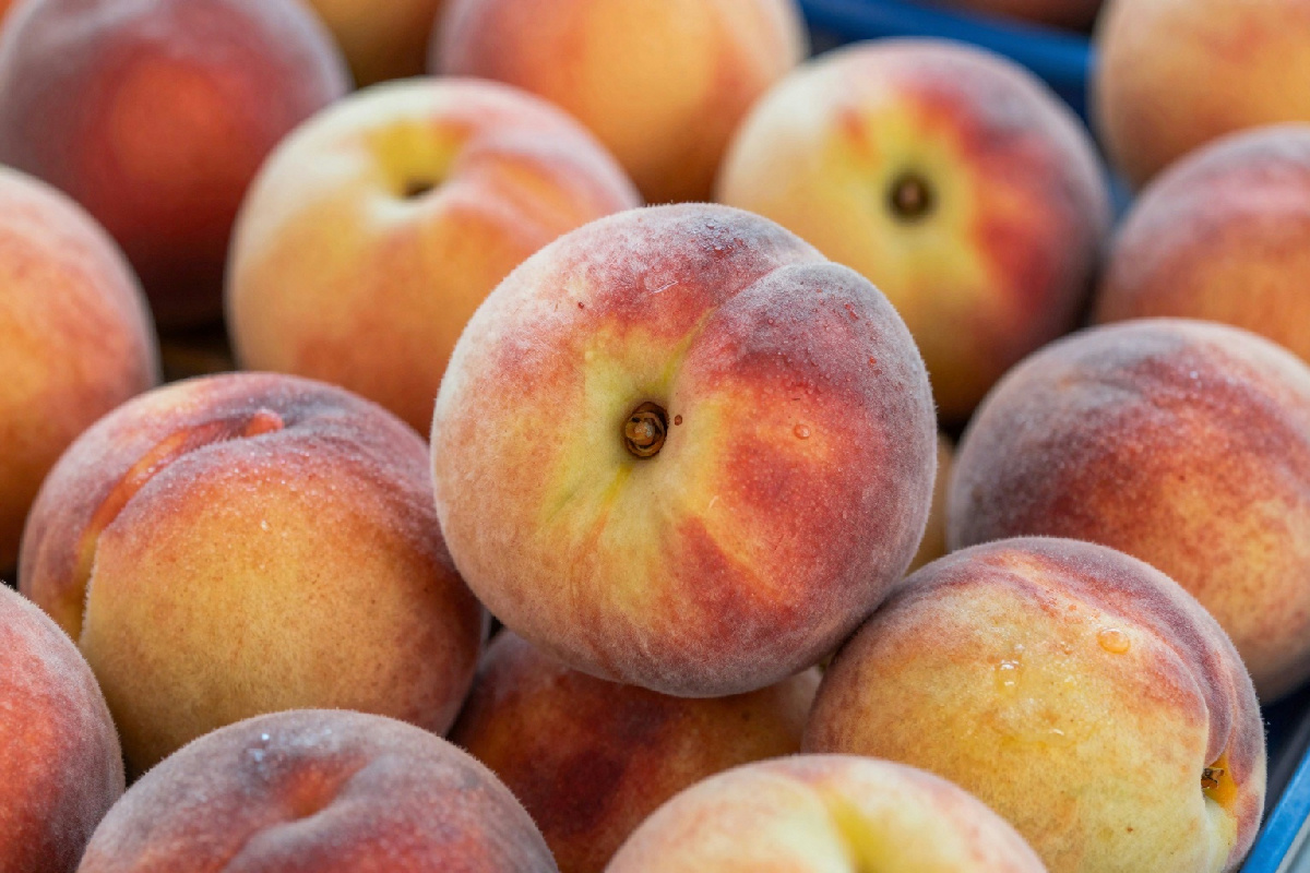 Scegliere le pesche perfette: i consigli dell'esperto per non sbagliare mai al mercato